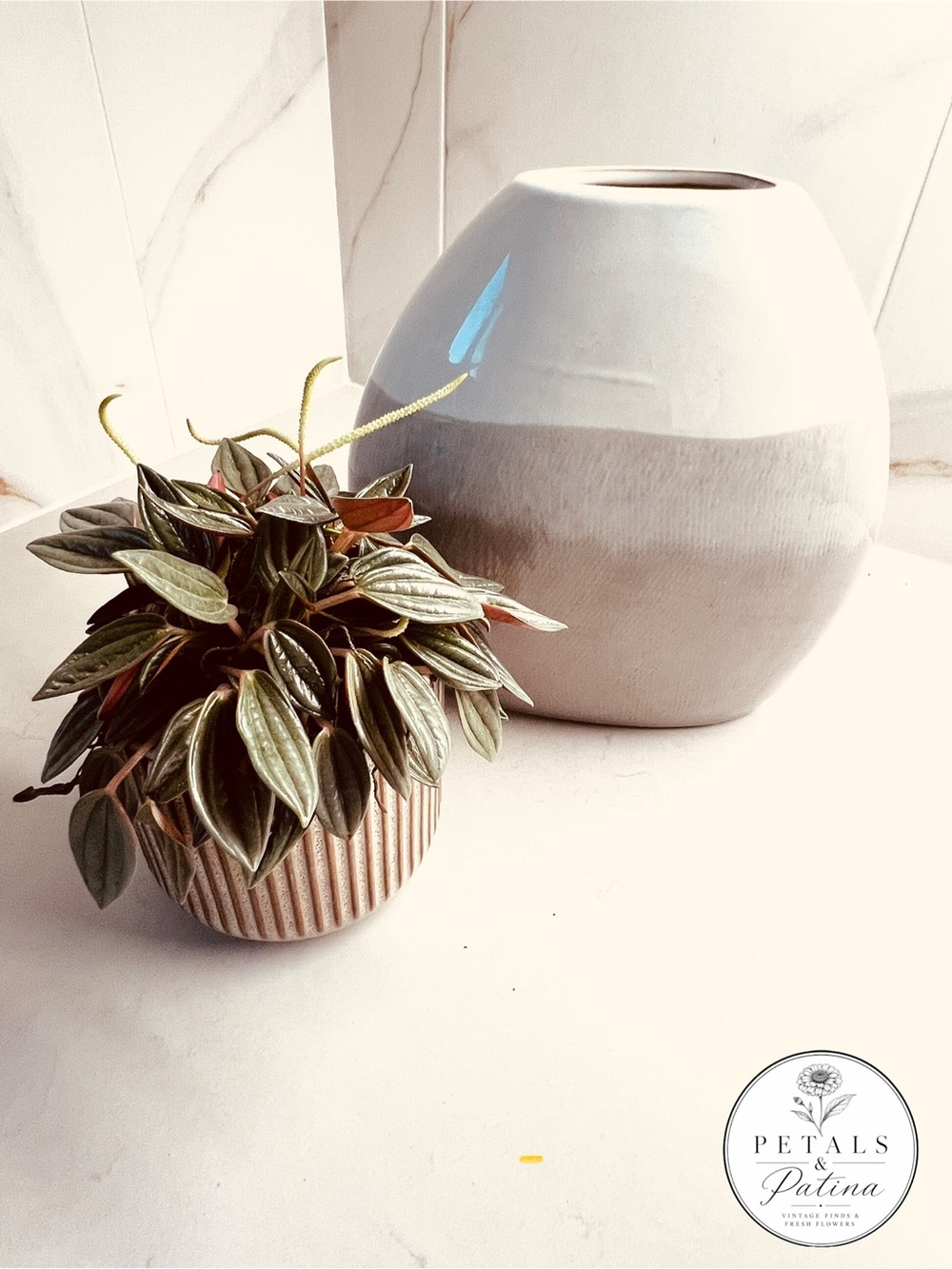 Two-Tone Cream Ceramic Vase